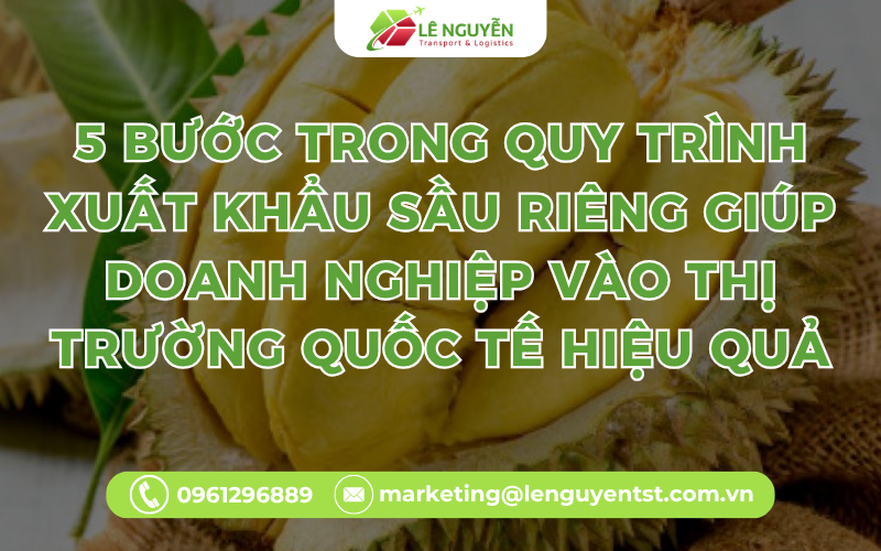 5 Bước Trong Quy Trình Xuất Khẩu Sầu Riêng Giúp Doanh Nghiệp Vào Thị Trường Quốc Tế Hiệu Quả