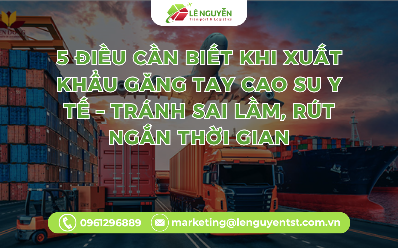 5 Điều Cần Biết Khi Xuất Khẩu Găng Tay Cao Su Y Tế – Tránh Sai Lầm, Rút Ngắn Thời Gian