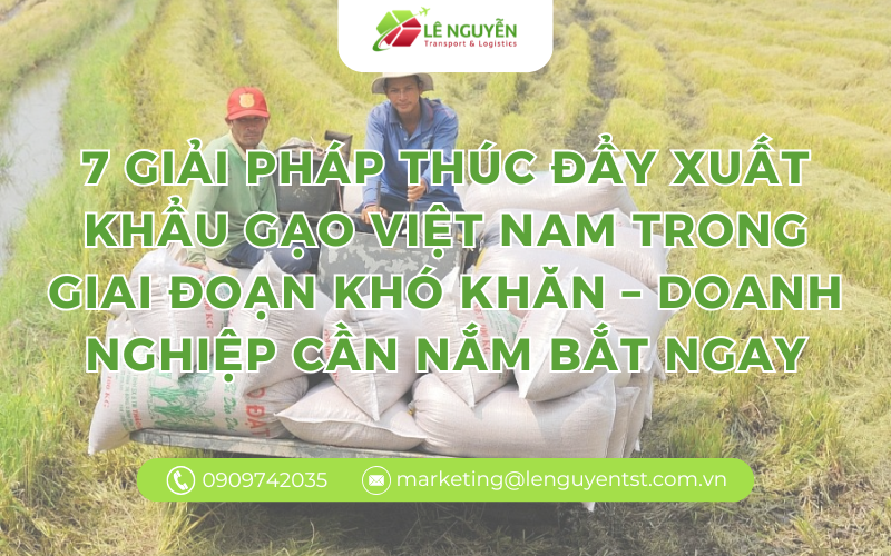 7 giải pháp thúc đẩy xuất khẩu gạo việt nam trong giai đoạn khó khăn – doanh nghiệp cần nắm bắt ngay